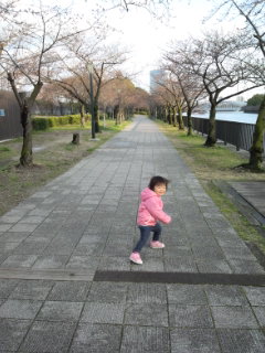 雨上がりの散歩