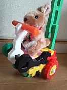 カンガルーの三輪車